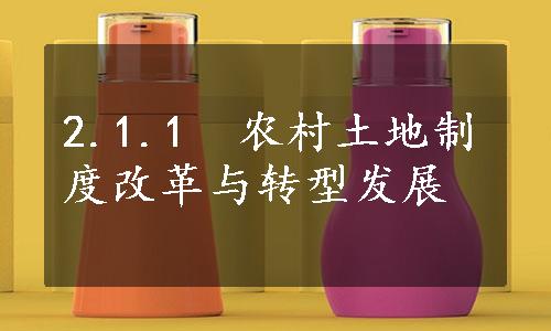 2.1.1　农村土地制度改革与转型发展
