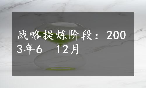战略提炼阶段：2003年6—12月