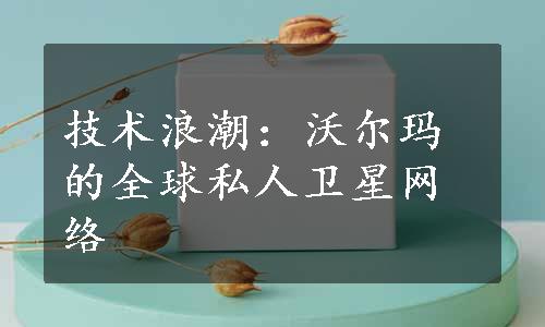 技术浪潮：沃尔玛的全球私人卫星网络