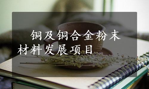 　铜及铜合金粉末材料发展项目