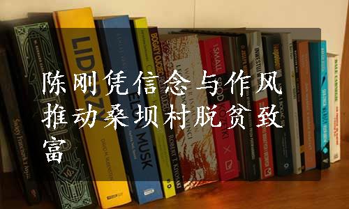 陈刚凭信念与作风推动桑坝村脱贫致富