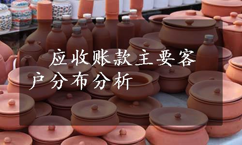 　应收账款主要客户分布分析