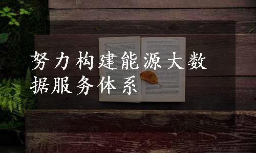 努力构建能源大数据服务体系