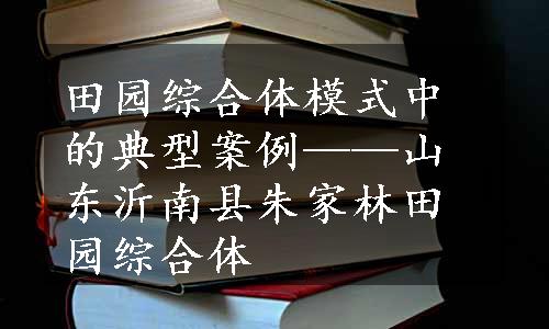 田园综合体模式中的典型案例——山东沂南县朱家林田园综合体