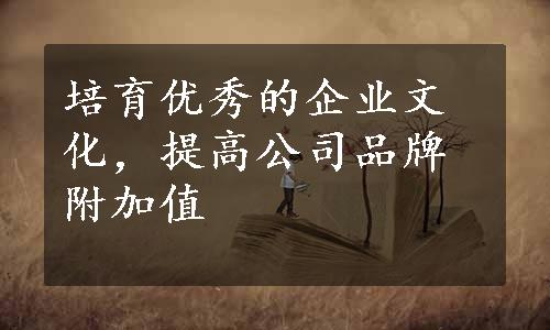 培育优秀的企业文化，提高公司品牌附加值