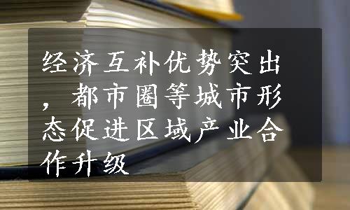 经济互补优势突出，都市圈等城市形态促进区域产业合作升级