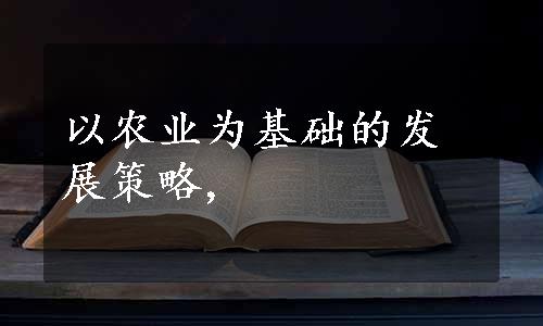 以农业为基础的发展策略,