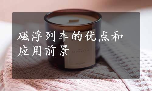 磁浮列车的优点和应用前景