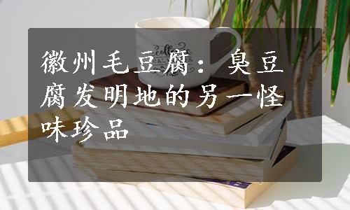 徽州毛豆腐：臭豆腐发明地的另一怪味珍品