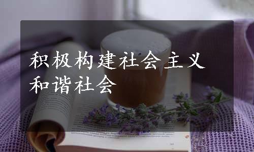 积极构建社会主义和谐社会