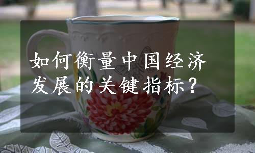 如何衡量中国经济发展的关键指标？