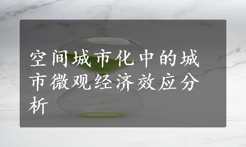 空间城市化中的城市微观经济效应分析