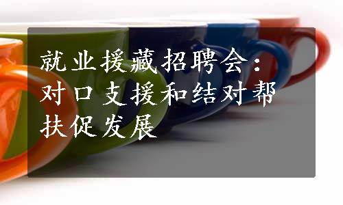 就业援藏招聘会：对口支援和结对帮扶促发展