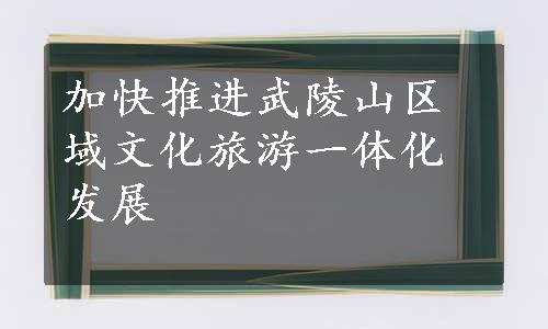 加快推进武陵山区域文化旅游一体化发展