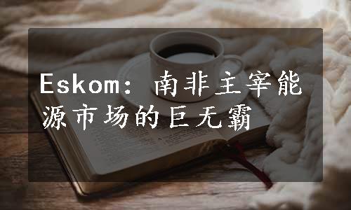 Eskom：南非主宰能源市场的巨无霸