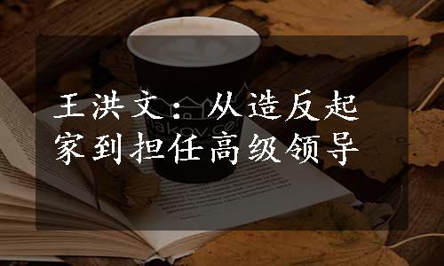 王洪文：从造反起家到担任高级领导