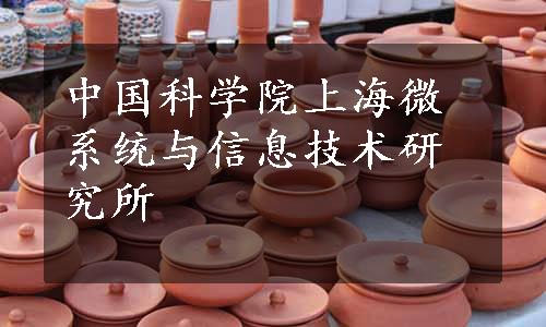 中国科学院上海微系统与信息技术研究所