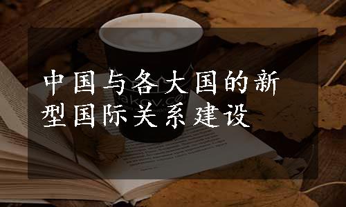 中国与各大国的新型国际关系建设