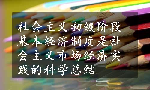 社会主义初级阶段基本经济制度是社会主义市场经济实践的科学总结