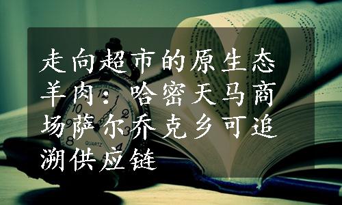走向超市的原生态羊肉：哈密天马商场萨尔乔克乡可追溯供应链