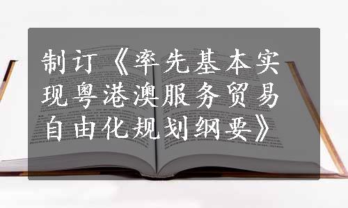 制订《率先基本实现粤港澳服务贸易自由化规划纲要》