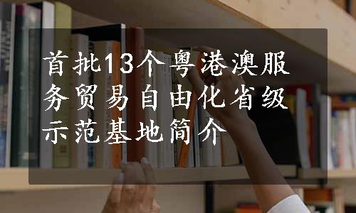 首批13个粤港澳服务贸易自由化省级示范基地简介