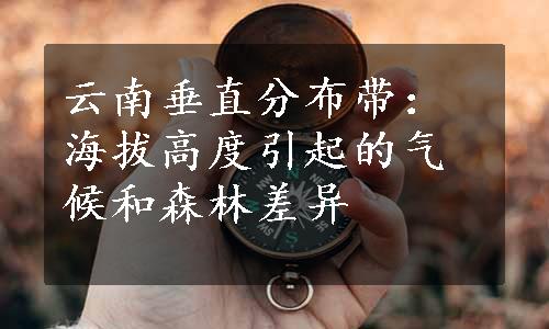 云南垂直分布带：海拔高度引起的气候和森林差异