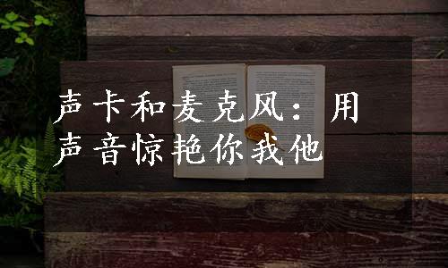 声卡和麦克风：用声音惊艳你我他