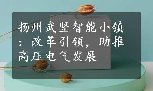 扬州武坚智能小镇：改革引领，助推高压电气发展