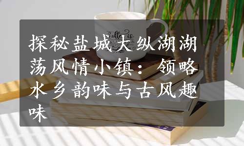 探秘盐城大纵湖湖荡风情小镇：领略水乡韵味与古风趣味