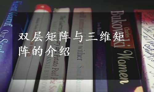 双层矩阵与三维矩阵的介绍
