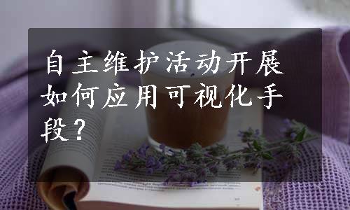 自主维护活动开展如何应用可视化手段？