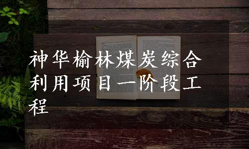神华榆林煤炭综合利用项目一阶段工程