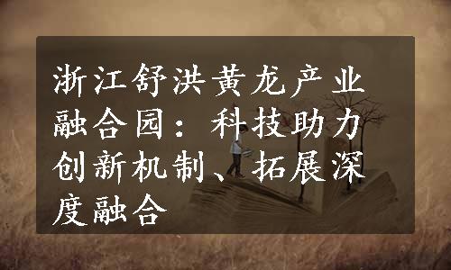 浙江舒洪黄龙产业融合园：科技助力创新机制、拓展深度融合