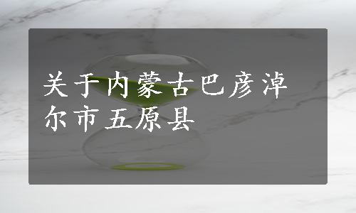 关于内蒙古巴彦淖尔市五原县