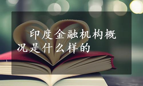 　印度金融机构概况是什么样的