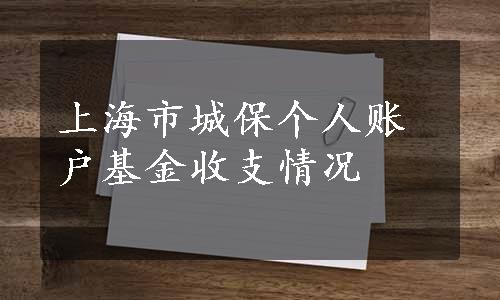 上海市城保个人账户基金收支情况