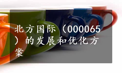 北方国际（000065）的发展和优化方案