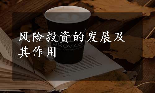 风险投资的发展及其作用