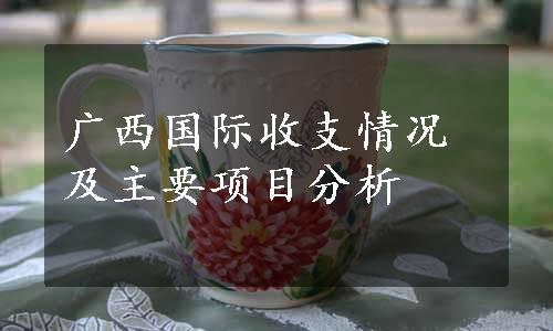 广西国际收支情况及主要项目分析