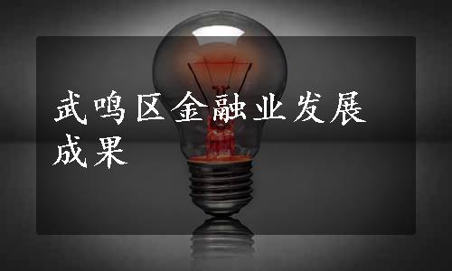 武鸣区金融业发展成果