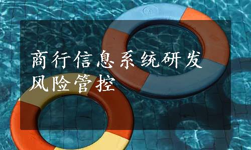 商行信息系统研发风险管控