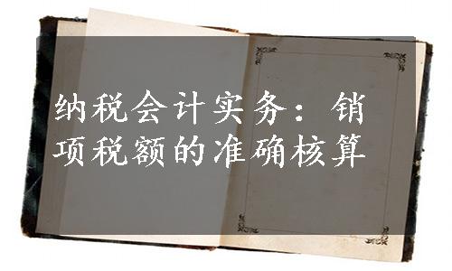 纳税会计实务：销项税额的准确核算