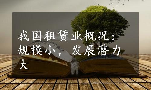 我国租赁业概况：规模小，发展潜力大