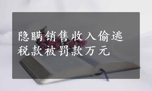 隐瞒销售收入偷逃税款被罚款万元