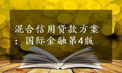 混合信用贷款方案：国际金融第4版