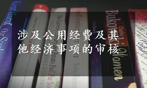 涉及公用经费及其他经济事项的审核