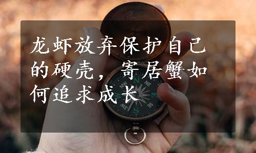 龙虾放弃保护自己的硬壳，寄居蟹如何追求成长