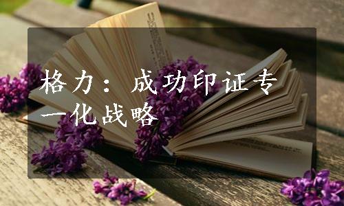 格力：成功印证专一化战略