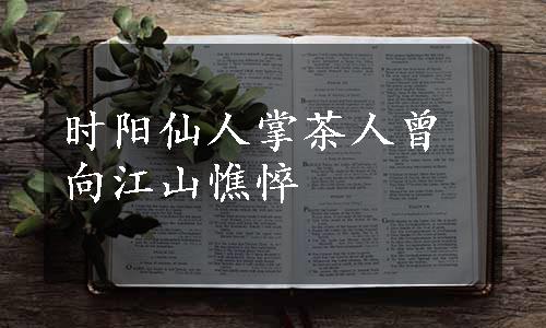 时阳仙人掌茶人曾向江山憔悴